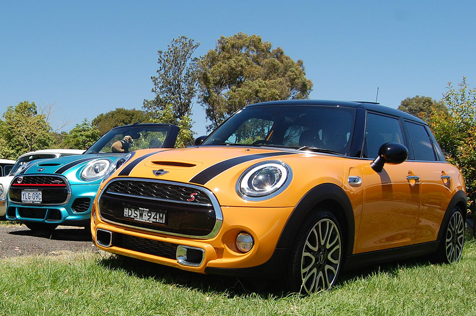 Minis shine at Australia's Minis in the Gong event
