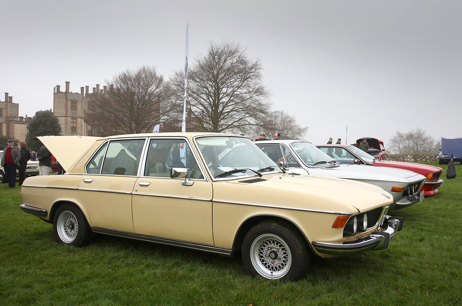Sharknose Collection catches the eye at BMW Car Club's Southern Concours