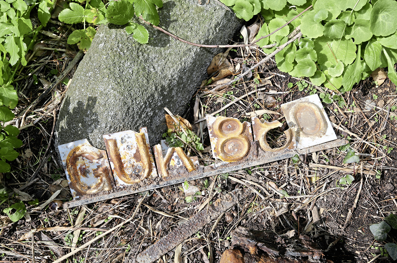 A barn-find Daimler? No, it's a rockery-find...