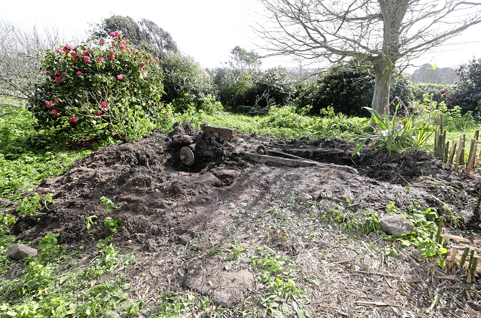 A barn-find Daimler? No, it's a rockery-find...