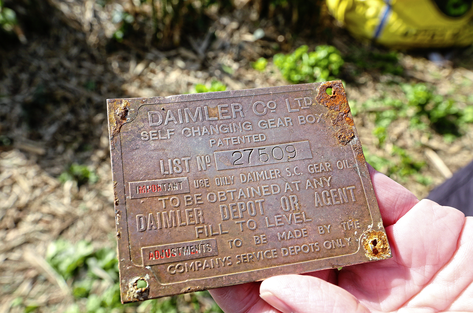 A barn-find Daimler? No, it's a rockery-find...