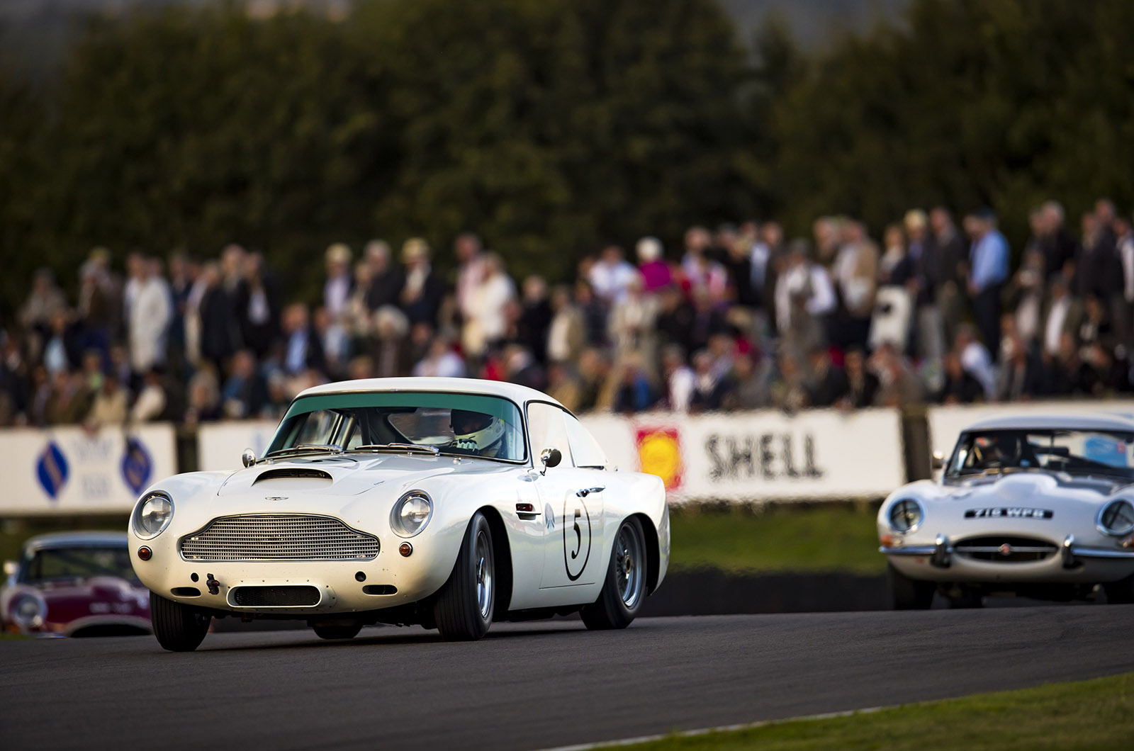 Classic & Sports Car – Who'll be the first winner at the 2018 Goodwood Revival?