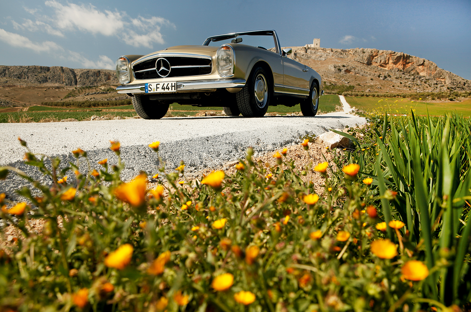 Don’t buy that, buy this: Peugeot 504 vs Mercedes Pagoda 