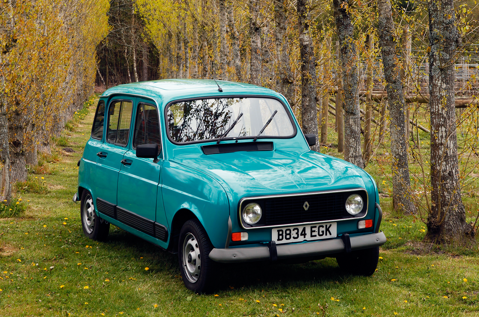 Classic & Sports Car – Buyer’s guide: Citroën 2CV