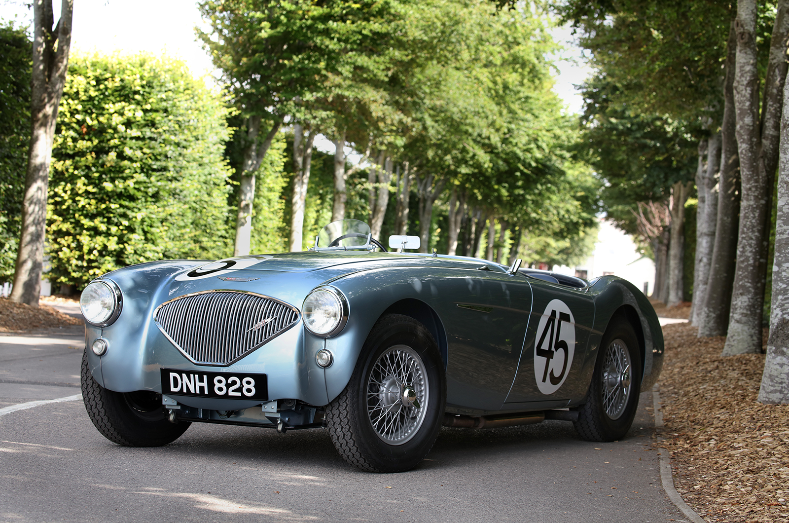 Classic & Sports Car – This unassuming Austin-Healey 100 is a pioneer privateer