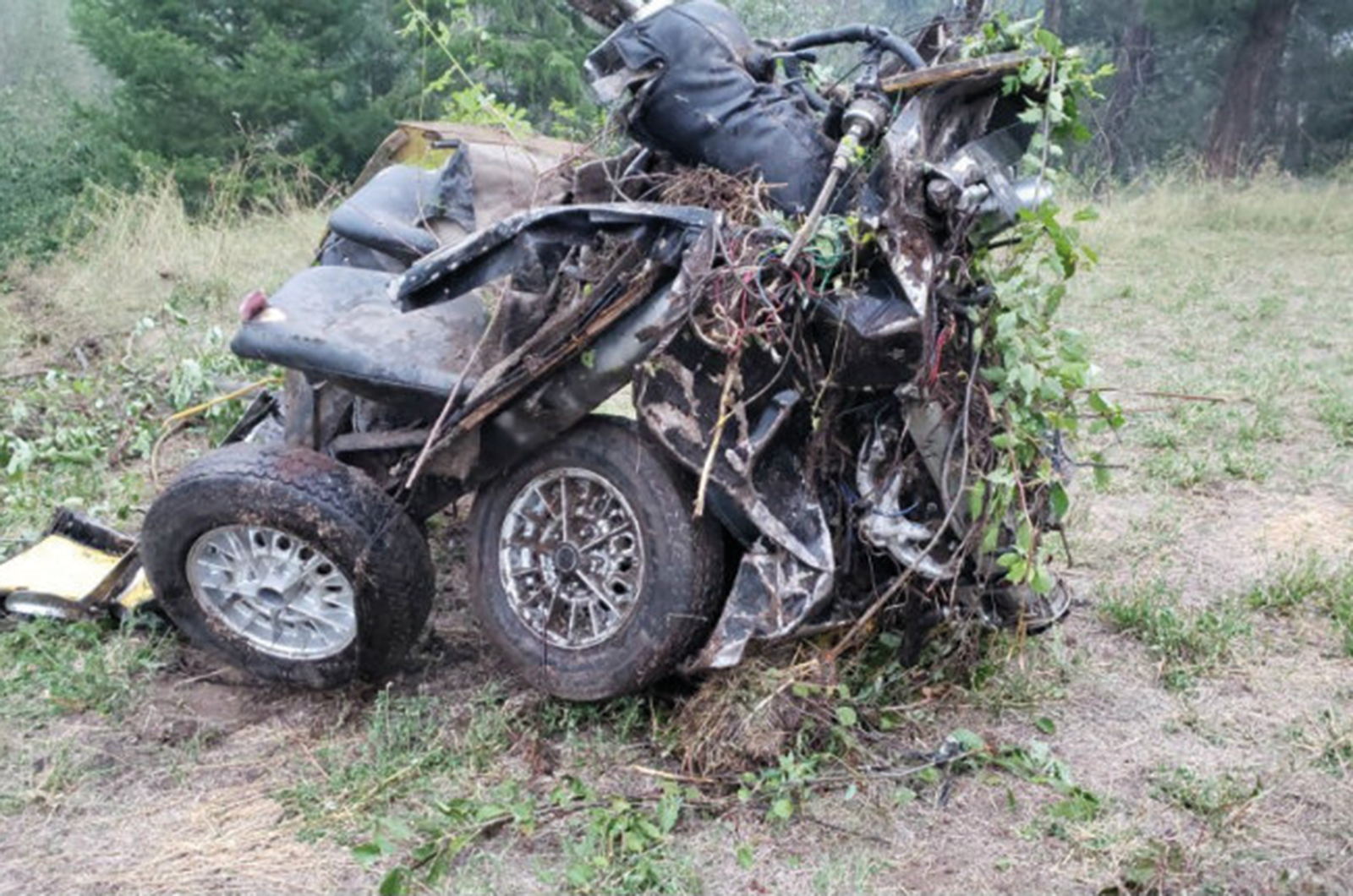 Classic & Sports Car – Your classic: Morgan Plus 8