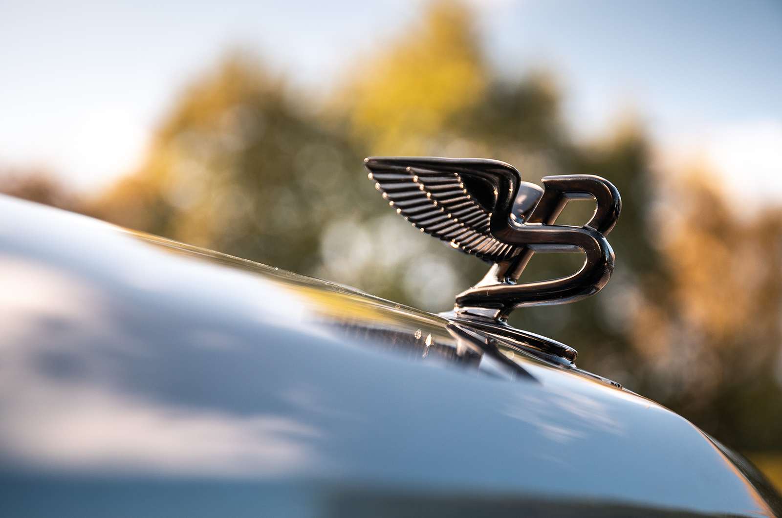 Classic & Sports Car – Bentley’s heartbeat: the first and last L-series V8s