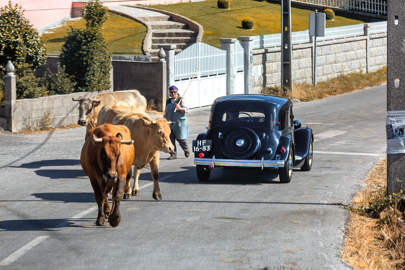 Classic & Sports Car – Why this is no ordinary Citroën Traction Avant
