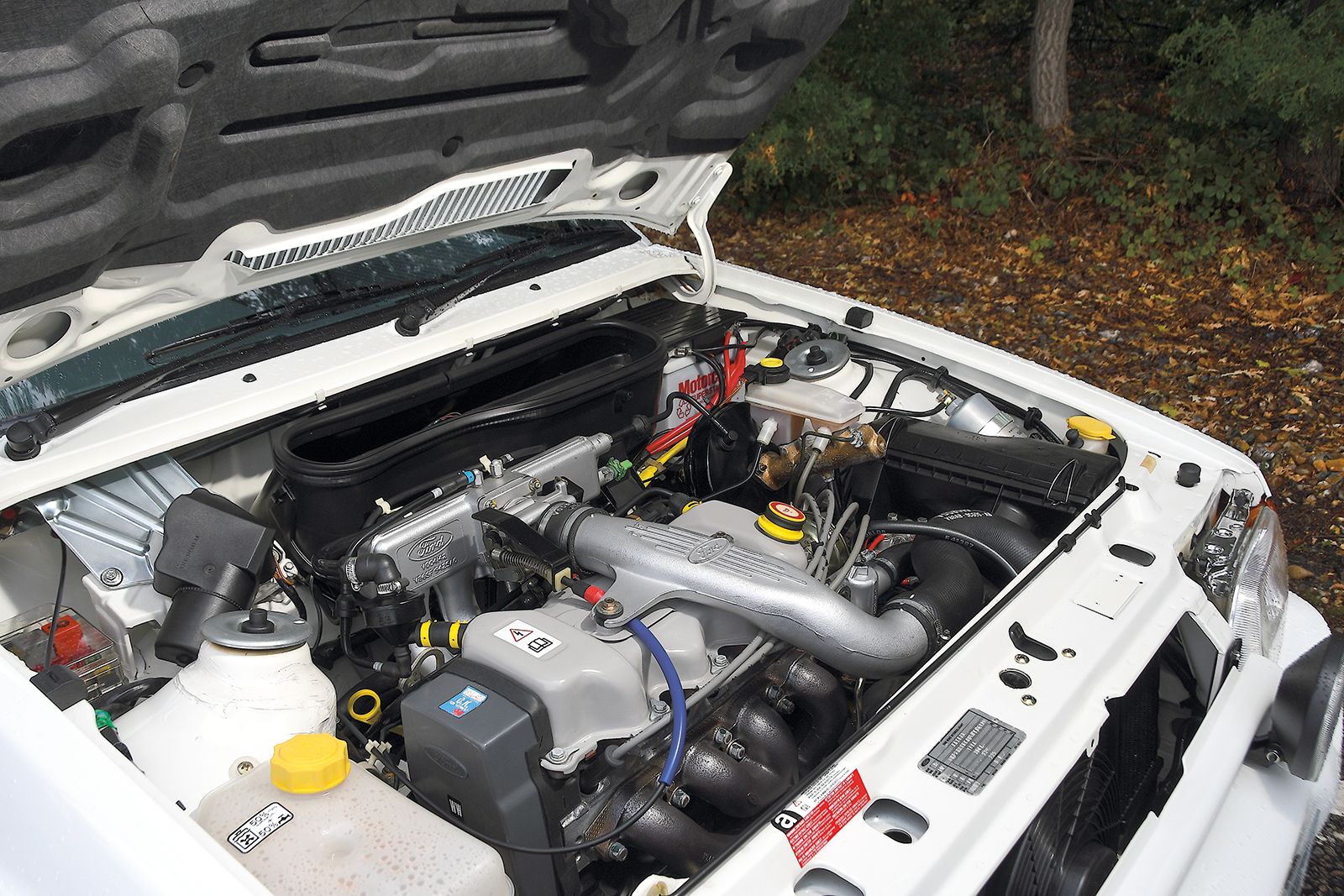 Classic & Sports Car – Blue-collar heroes: meet one man and his Ford Escort collection