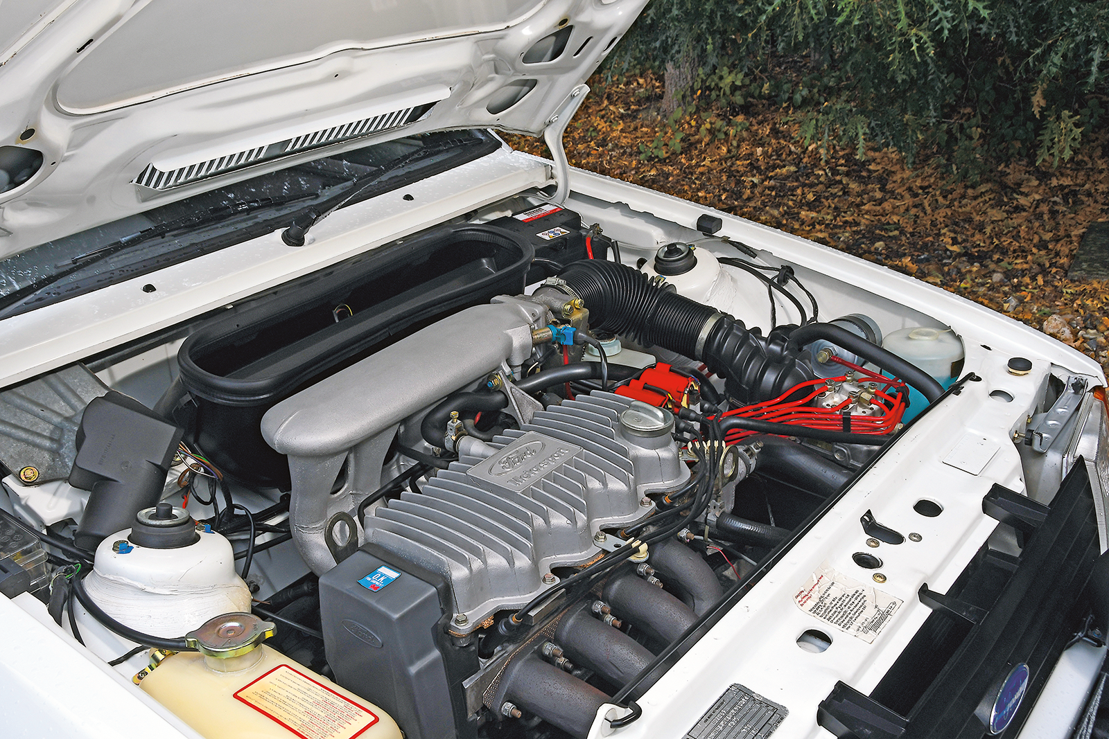 Classic & Sports Car – Blue-collar heroes: meet one man and his Ford Escort collection