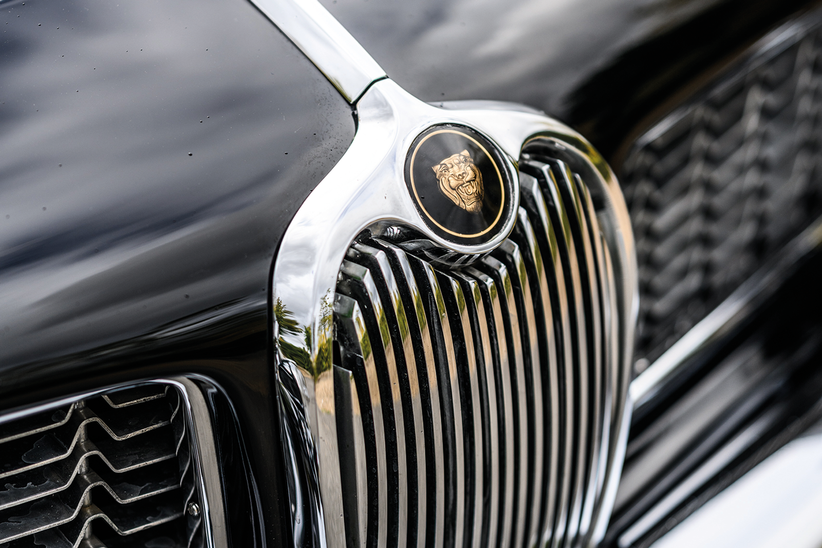 Classic & Sports Car – How brilliant Bertone reimagined the Jaguar XK150