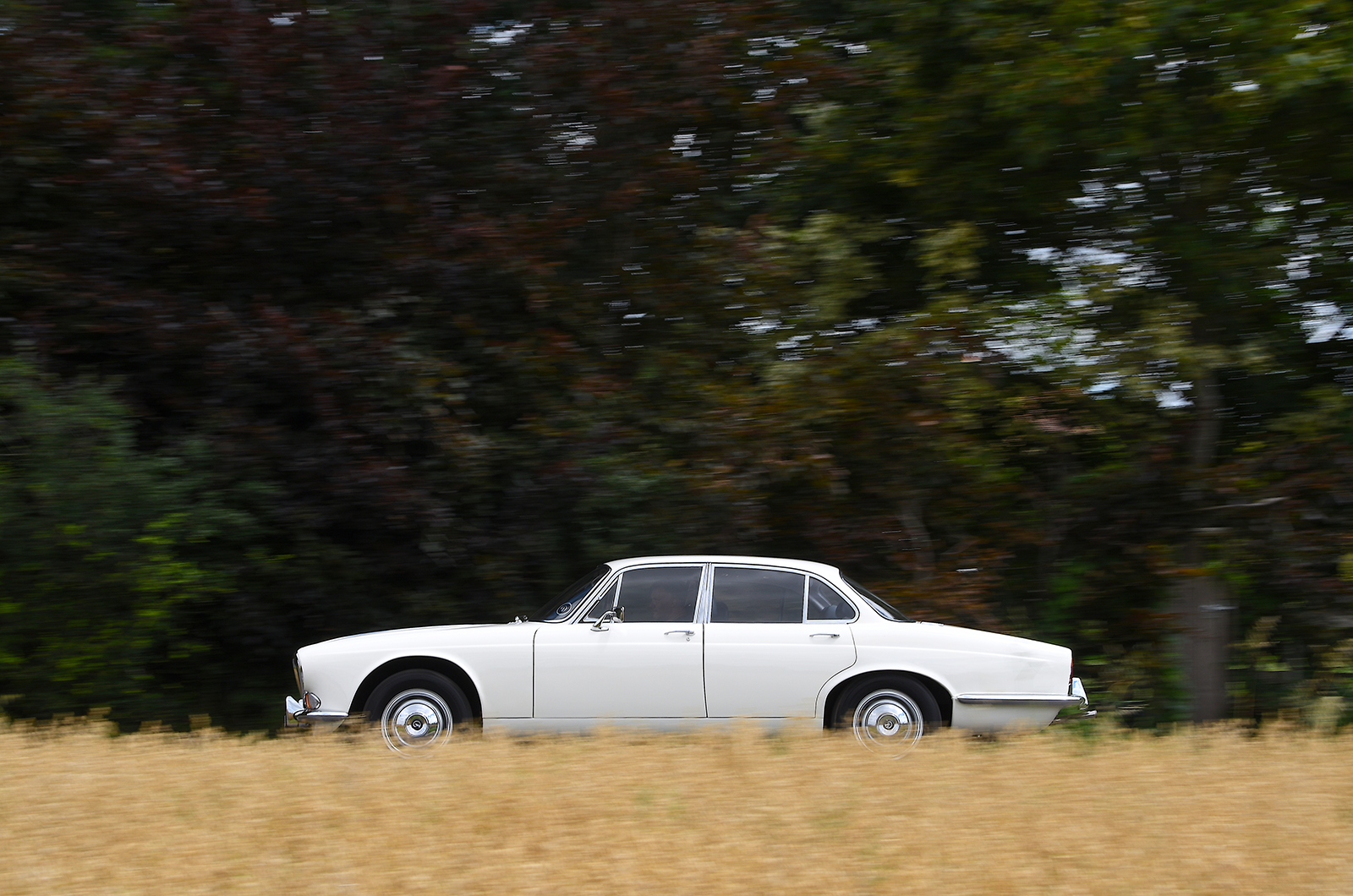 Classic & Sports Car – Executive elegance: Volvo 164 vs Daimler Sovereign 2.8