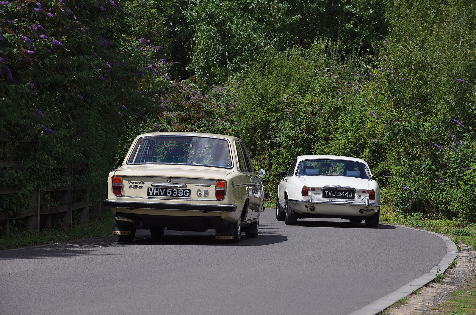 Classic & Sports Car – Executive elegance: Volvo 164 vs Daimler Sovereign 2.8