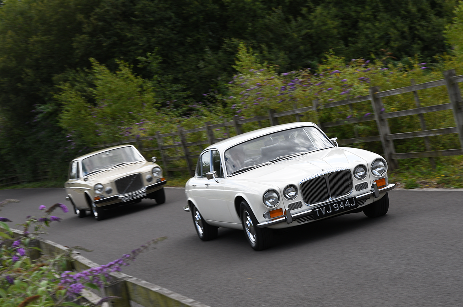 Classic & Sports Car – Executive elegance: Volvo 164 vs Daimler Sovereign 2.8
