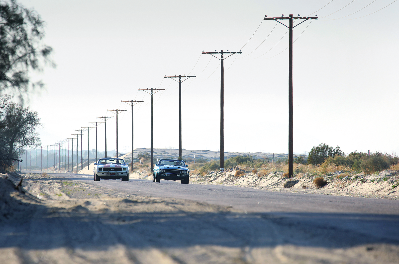 Classic & Sports Car – Muscle-car shoot-out: Chevrolet Camaro SS 396 Indy Pace Car vs Shelby GT500 Cobra Jet