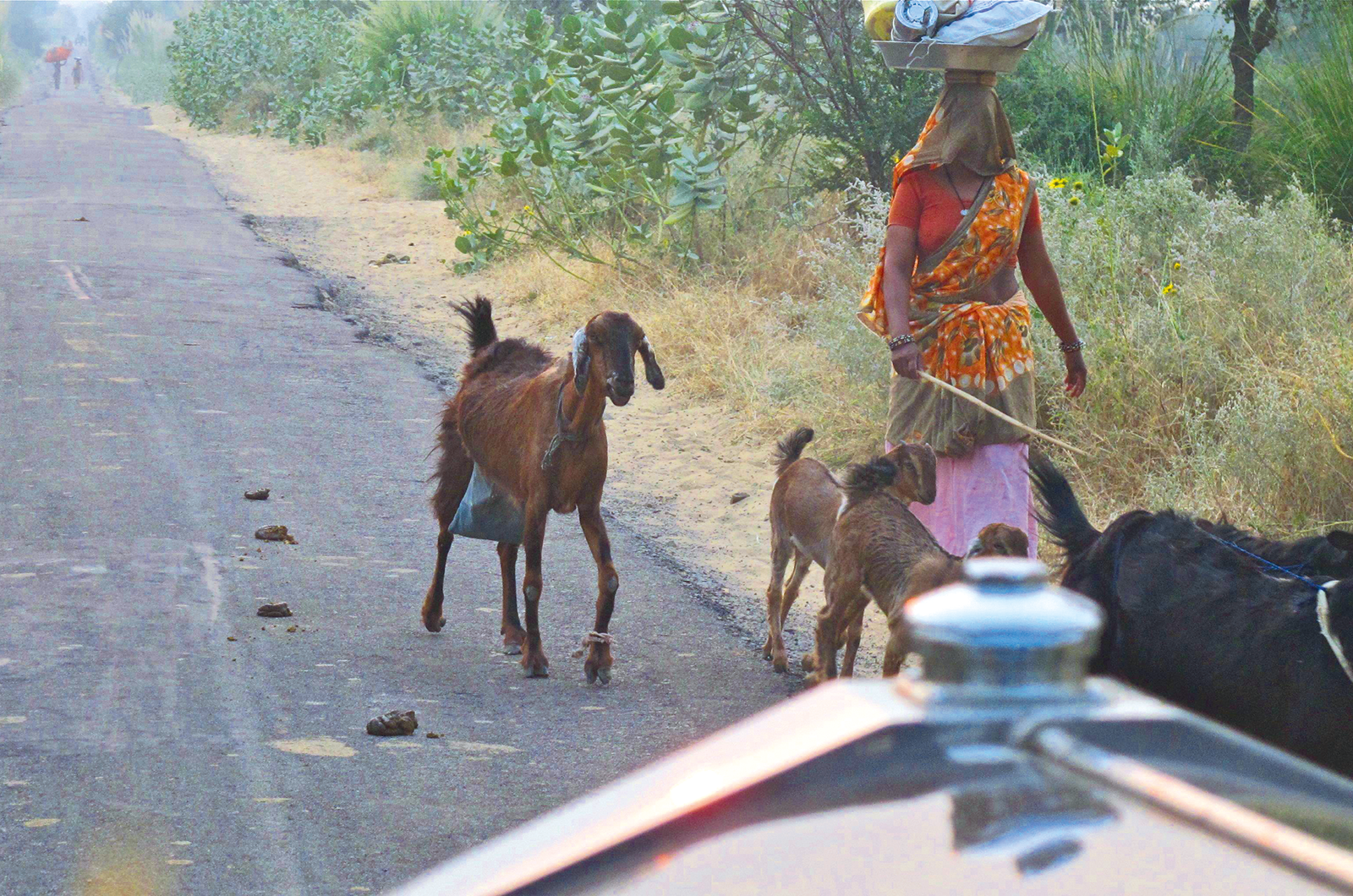 Classic & Sports Car – Reliving an epic, 8000-mile adventure across India by Rolls-Royce