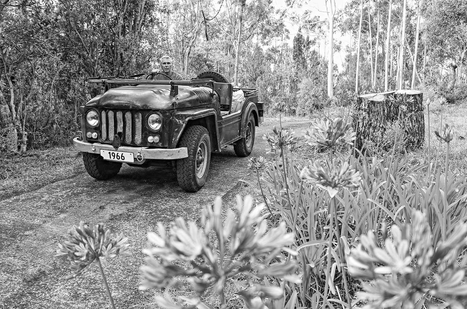 Classic & Sports Car – Alpine trial: Willys MB Jeep vs Alfa Romeo 1900M AR51 vs Fiat 1101 Campagnola