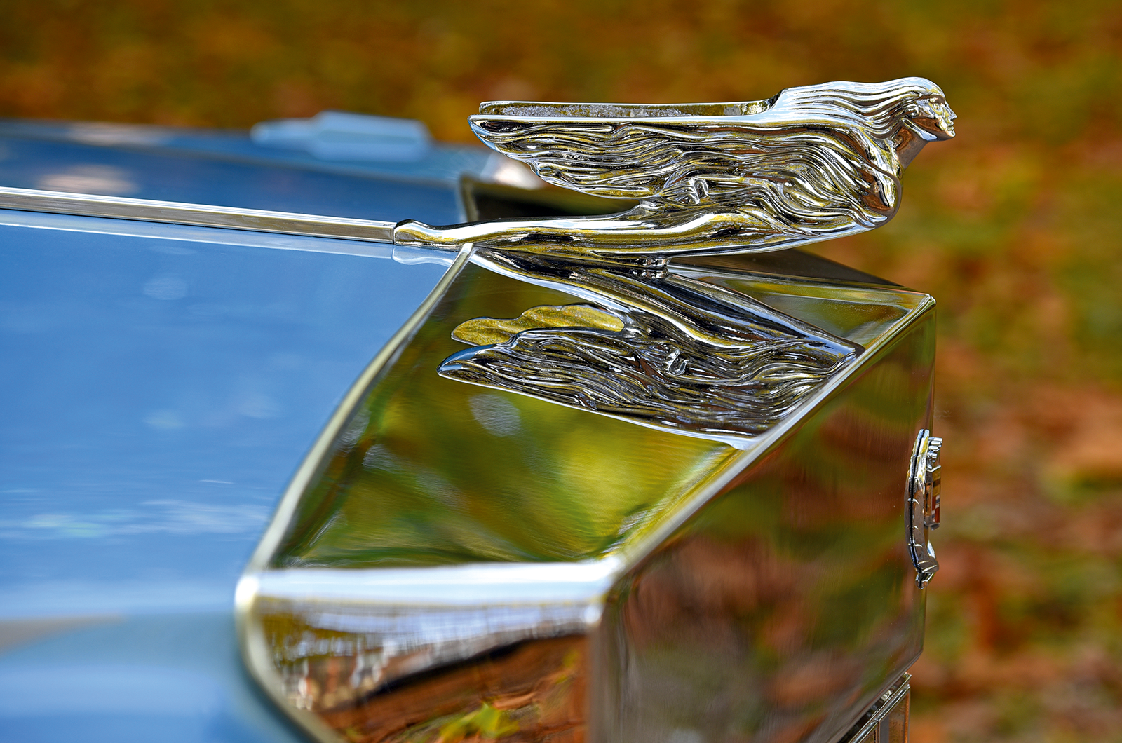 Classic & Sports Car – The wagon prince: Cadillac Castilian Fleetwood Estate Wagon