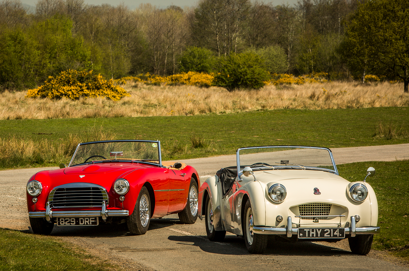 Classic & Sports Car – Triumph TR2 vs Swallow Doretti: genetic engineering