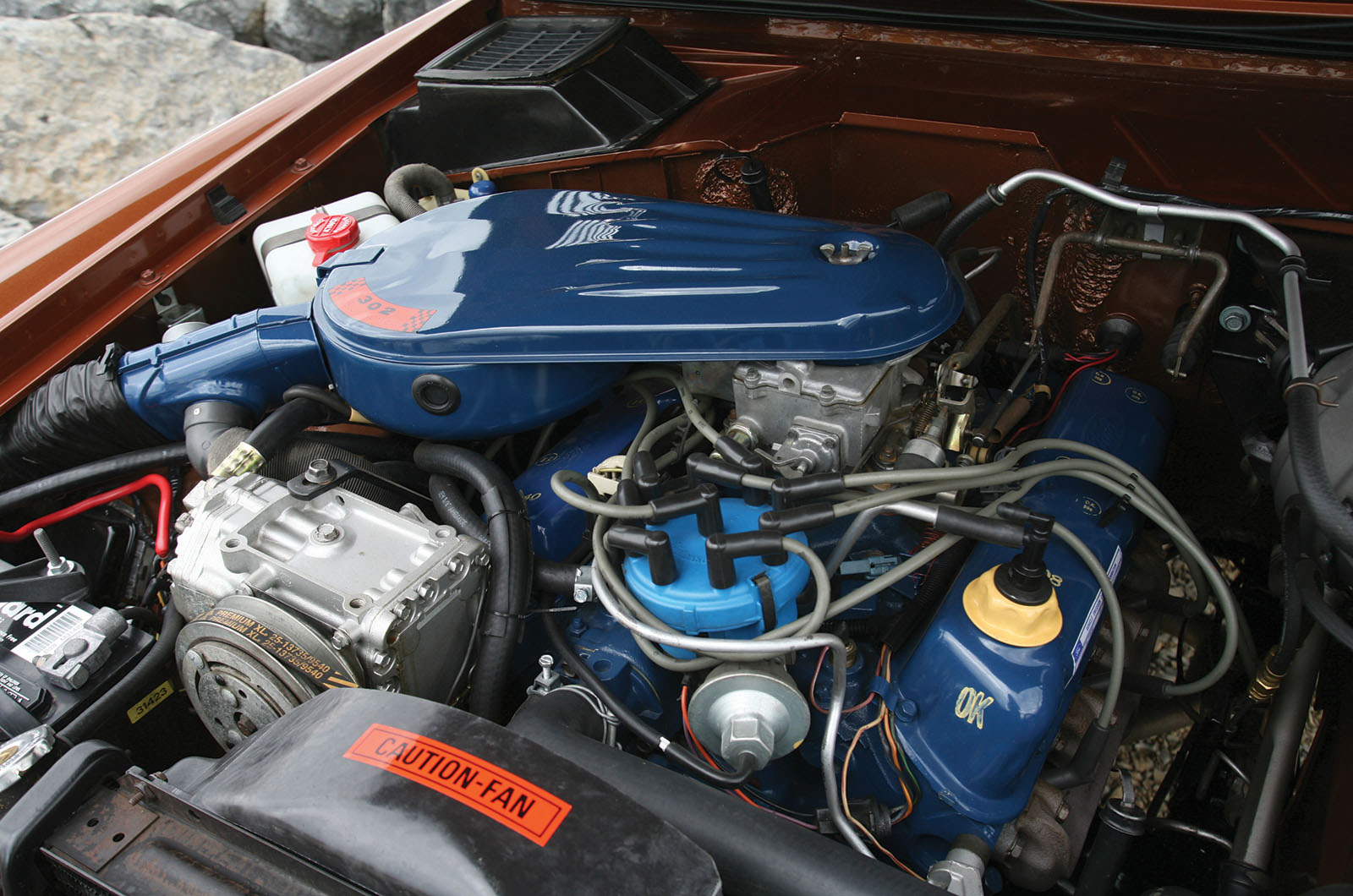 Classic & Sports Car – Ford Bronco family: wild horses