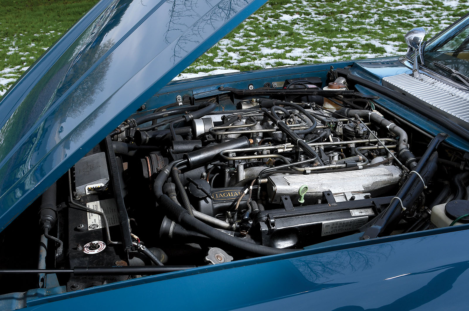 Classic & Sports Car – Jaguar XJ-S at 50: cream of the cats