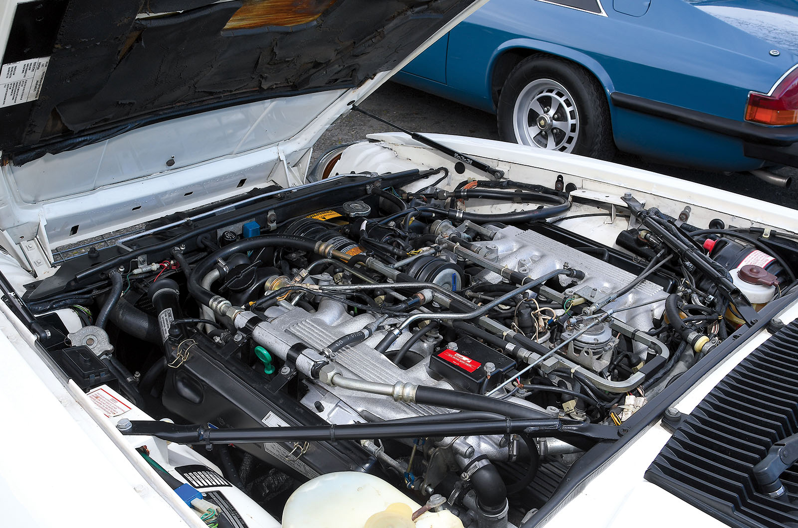 Classic & Sports Car – Jaguar XJ-S at 50: cream of the cats