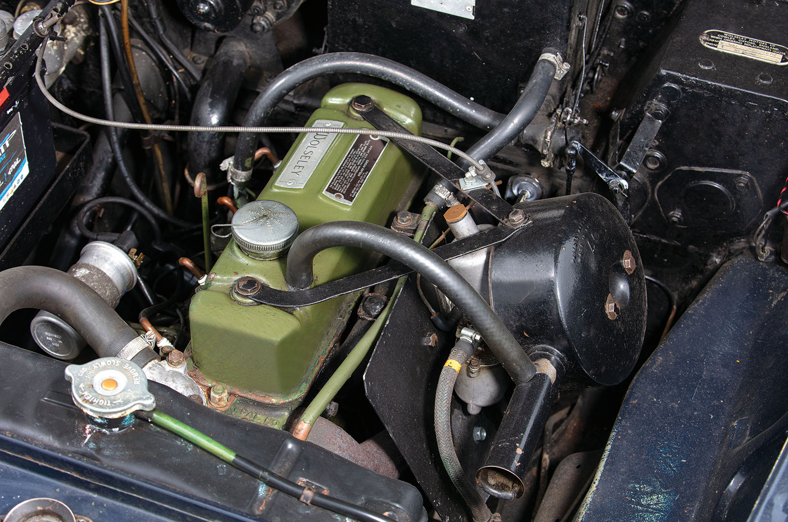 Classic & Sports Car – Buyer’s guide: BMC ‘Farina’