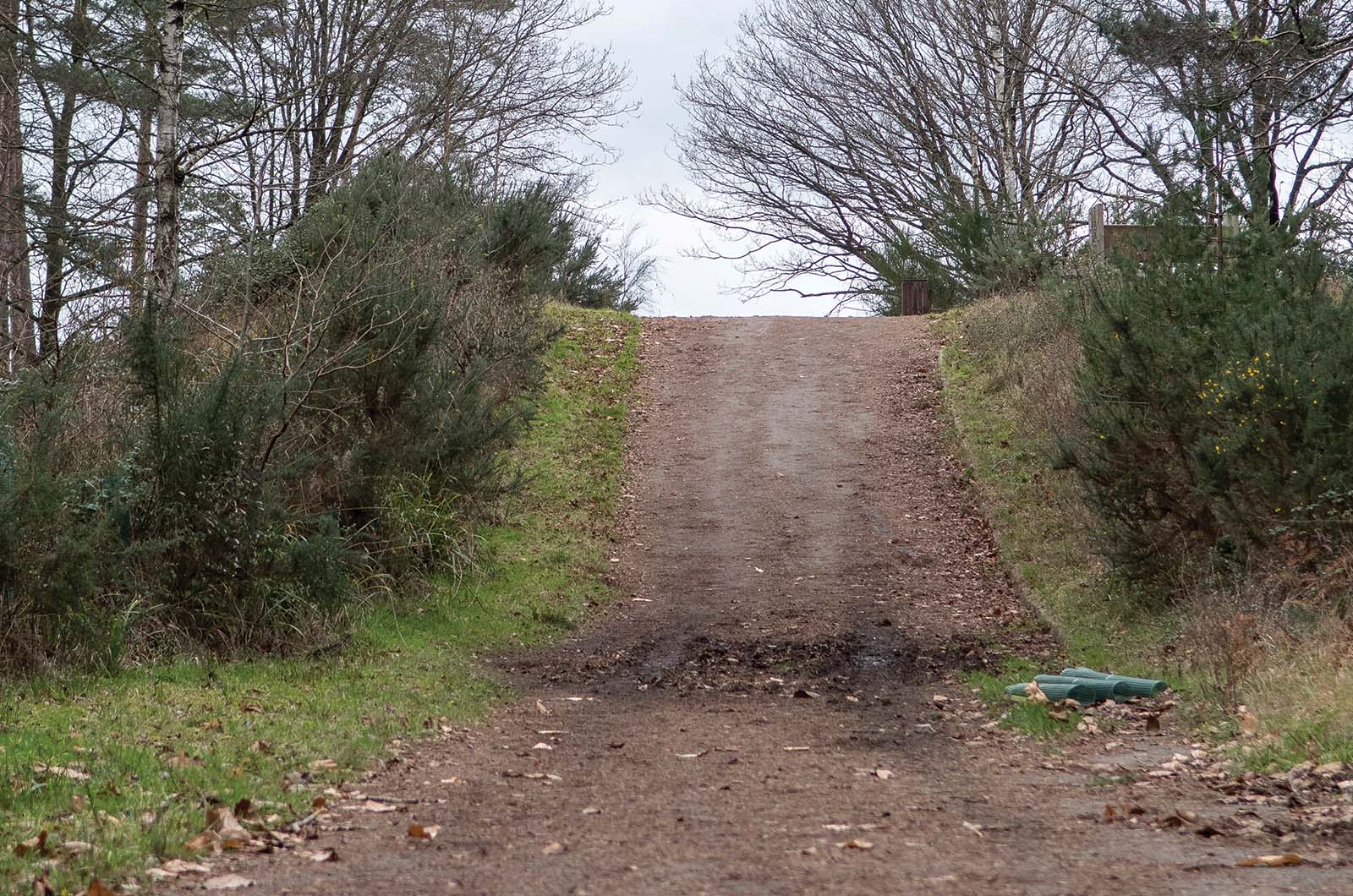Classic & Sports Car – Self-driving Citroën DS: Britain’s 1960s pioneer