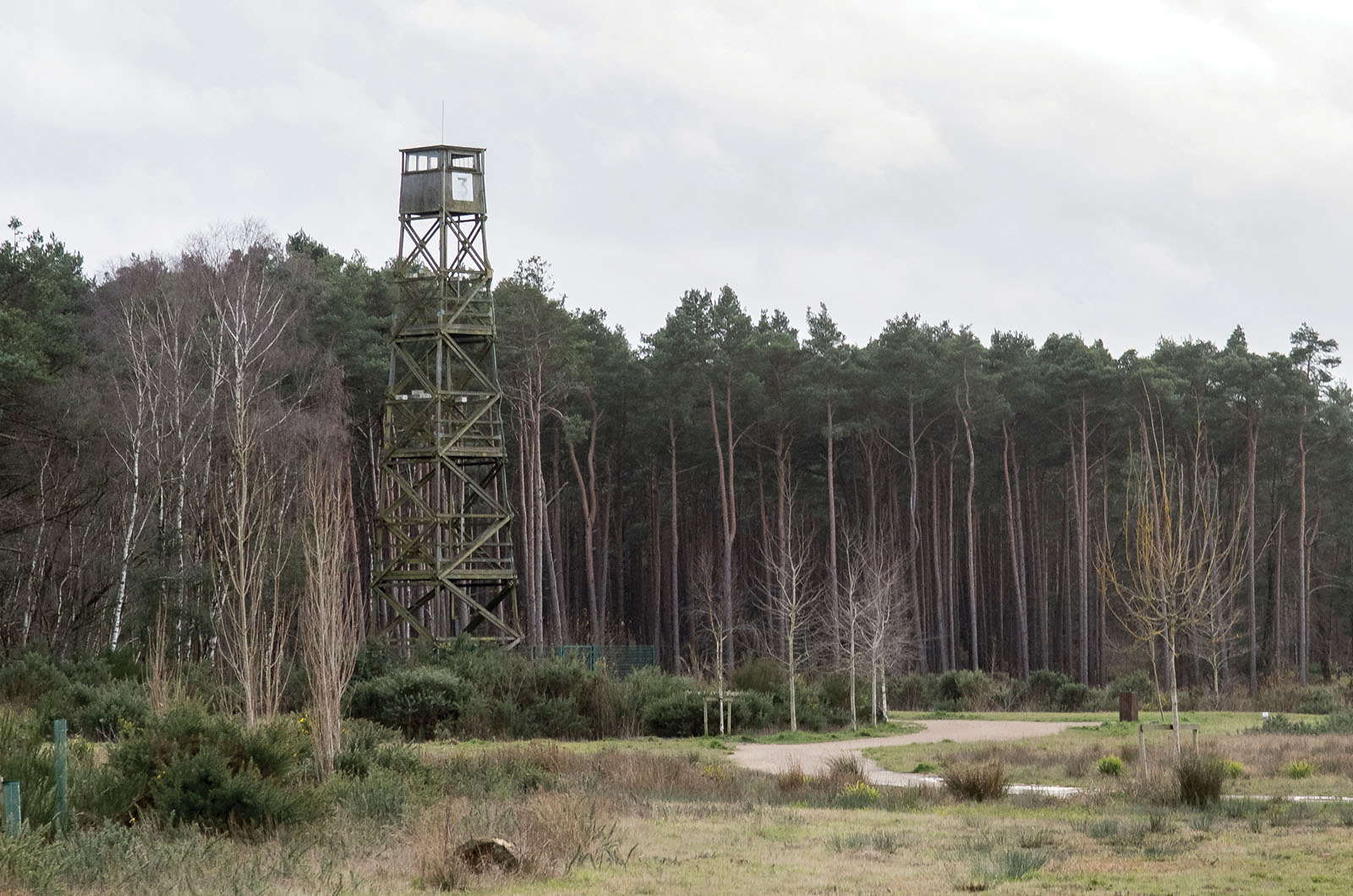 Classic & Sports Car – Self-driving Citroën DS: Britain’s 1960s pioneer
