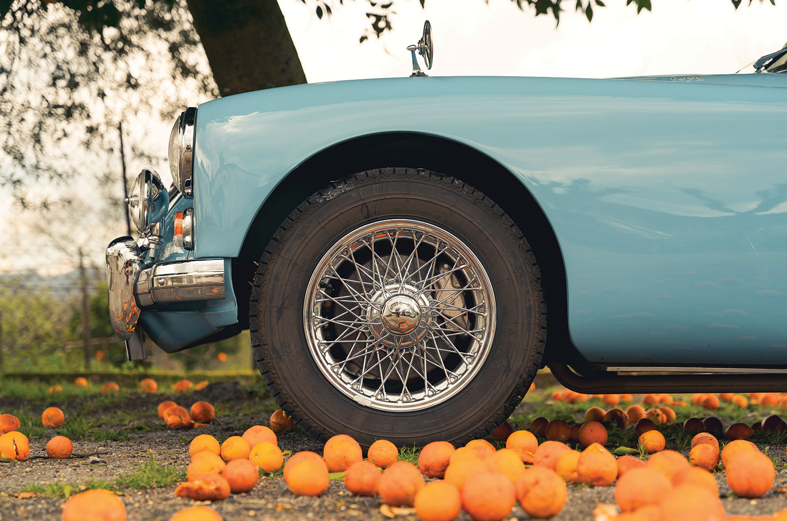 Classic & Sports Car – MGA road trip: Portugal’s best-kept secrets