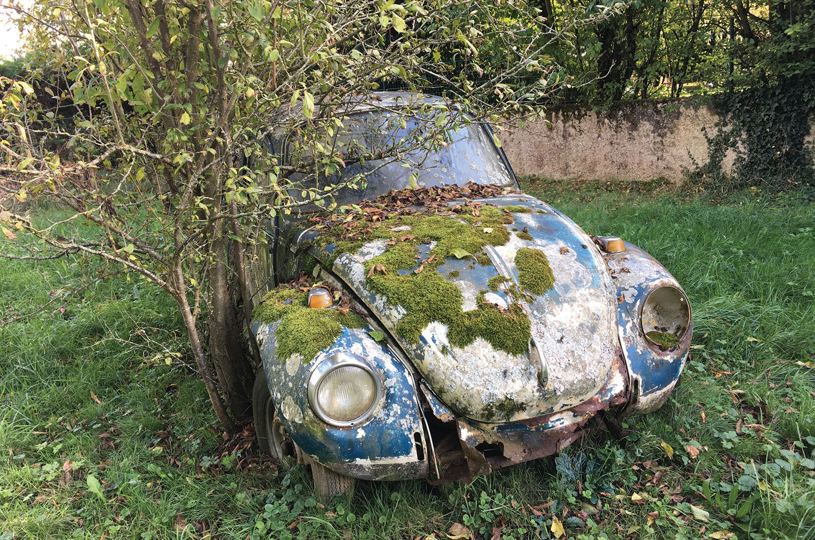 Classic & Sports Car – Also in my garage: classic Volkswagens