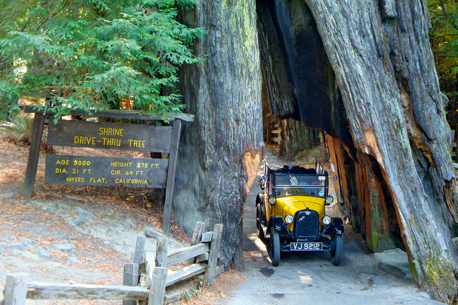 Classic & Sports Car – An epic cross-continental adventure in an Austin Seven