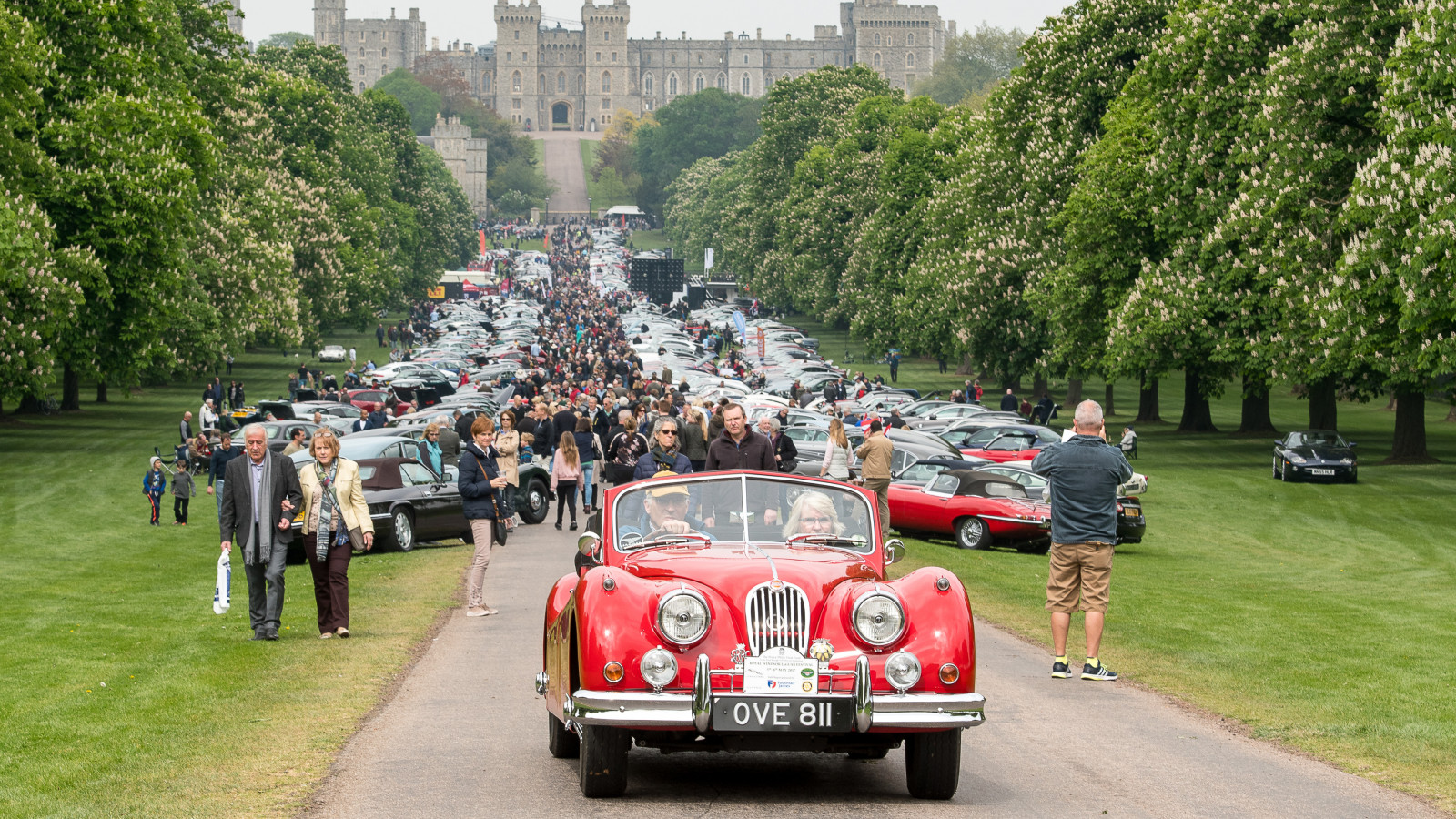 Jaguars at Windsor