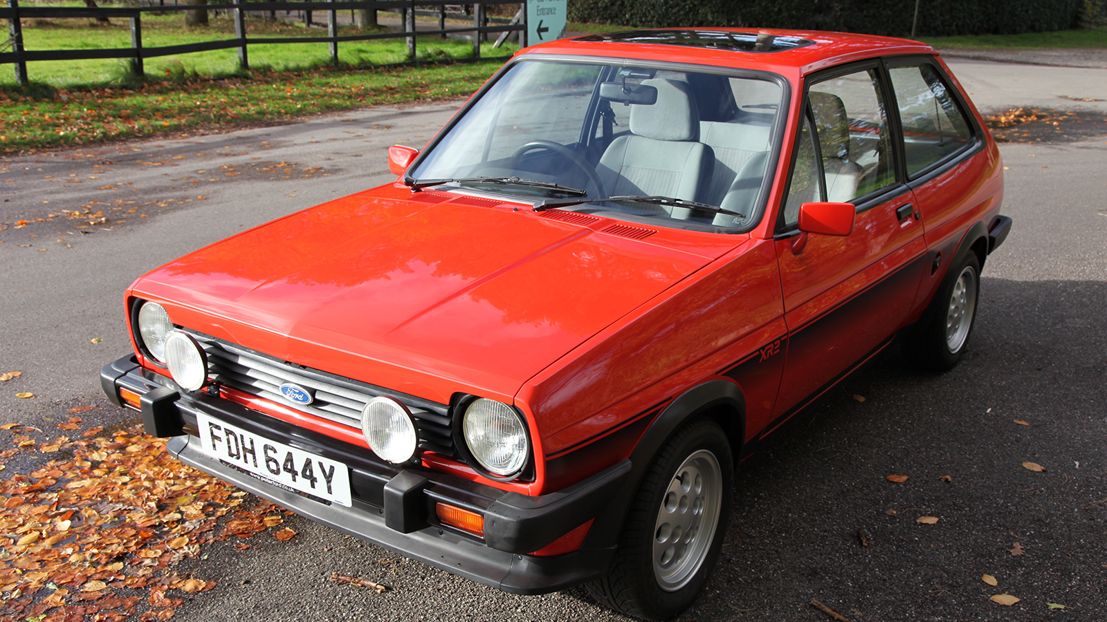 20 Fast Fords for sale at auction