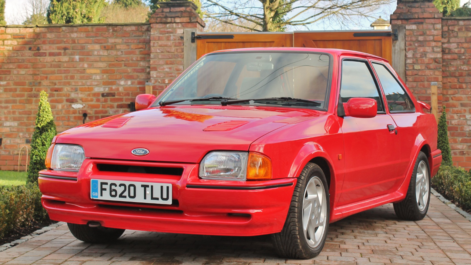 20 Fast Fords for sale at auction