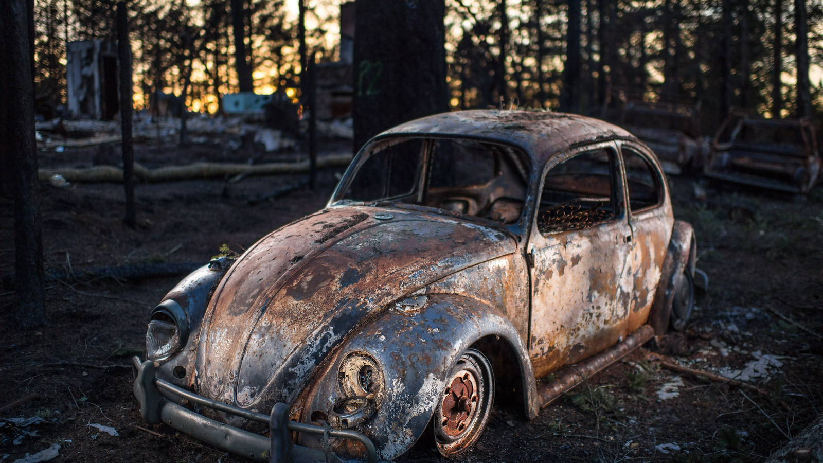 1965-1966 Volkswagen Beetle