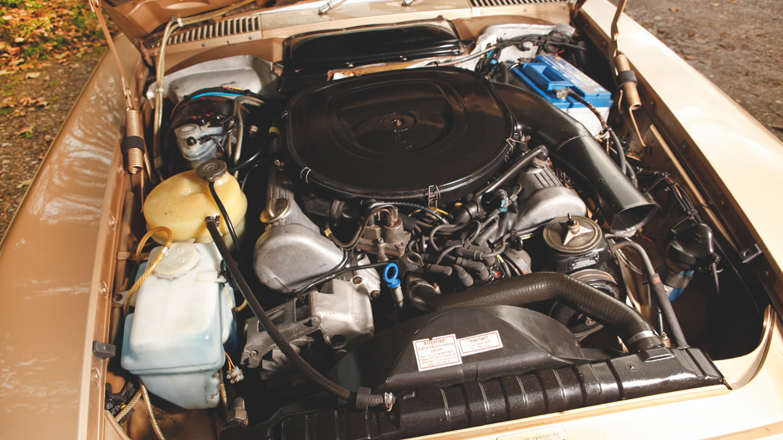 Sports cars for the family: classic GTs with four seats