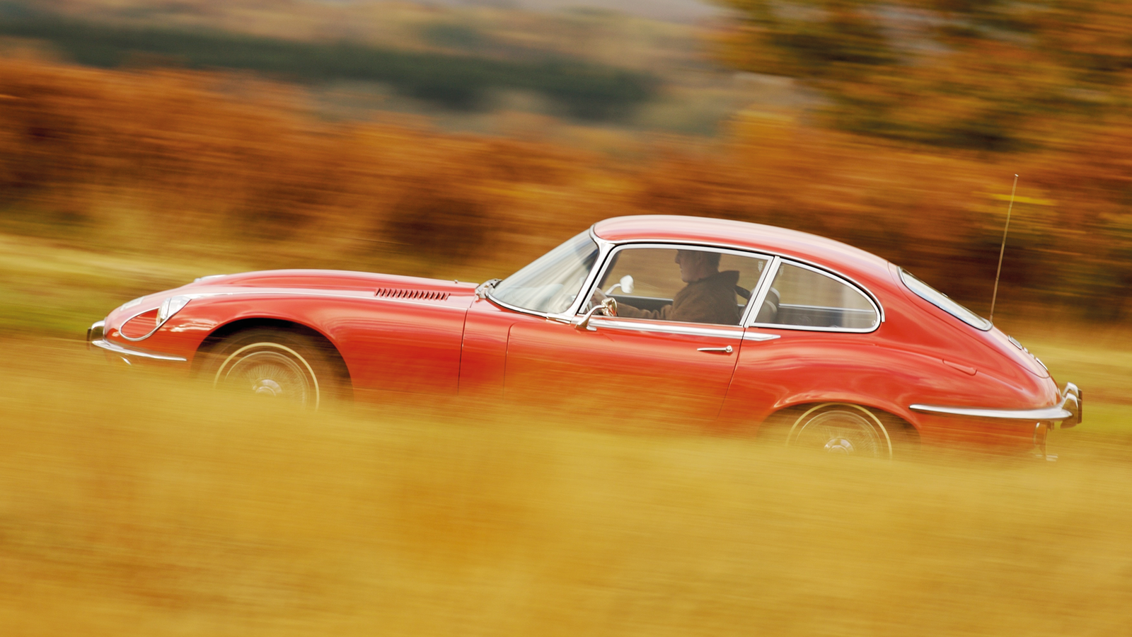 Sports cars for the family: classic GTs with four seats
