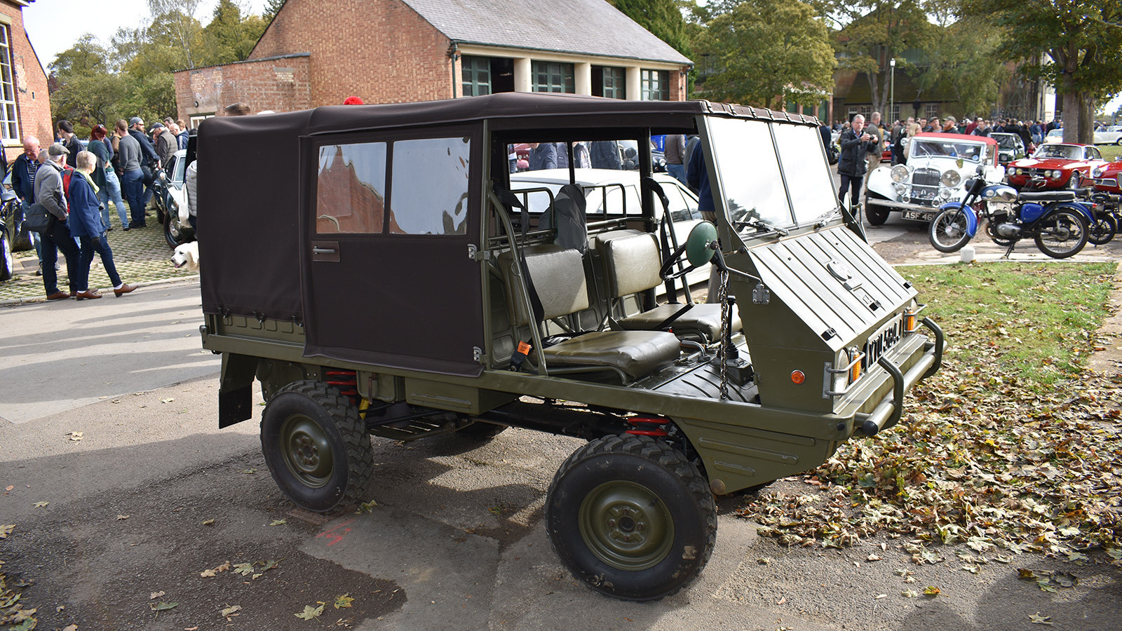 Haflinger