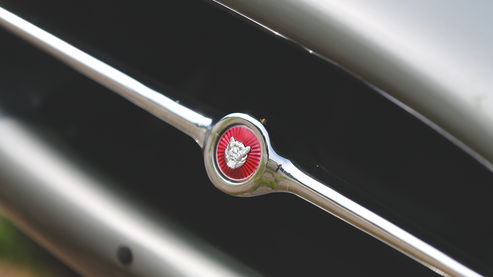 The 60s GTs that tried to beat the Sting Ray