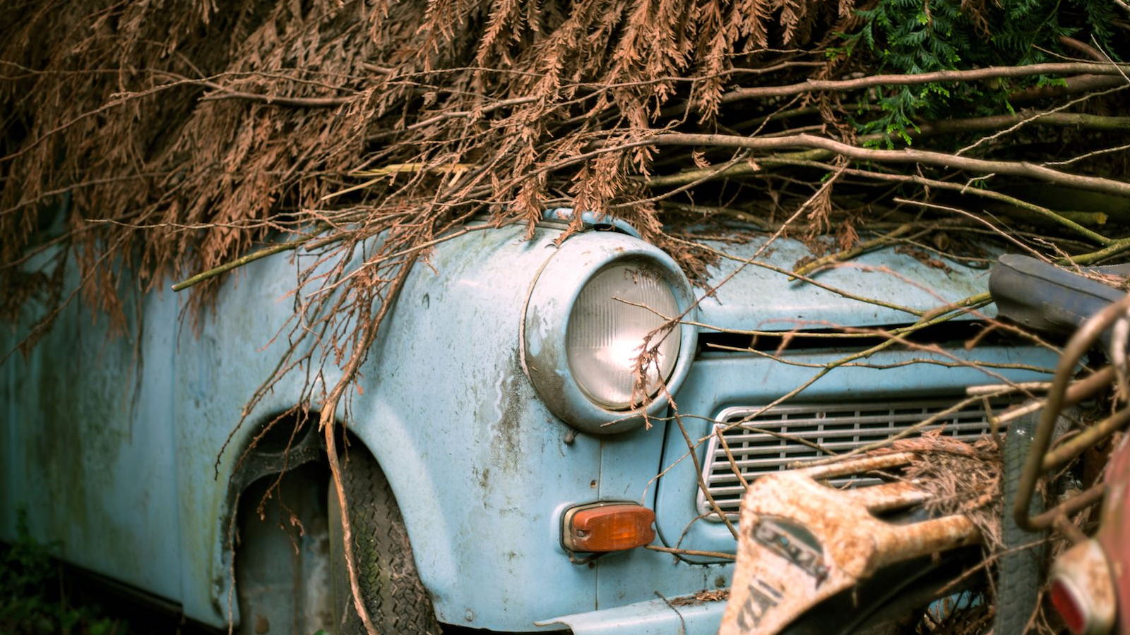 81 dusty classics unearthed in bumper French barn-find