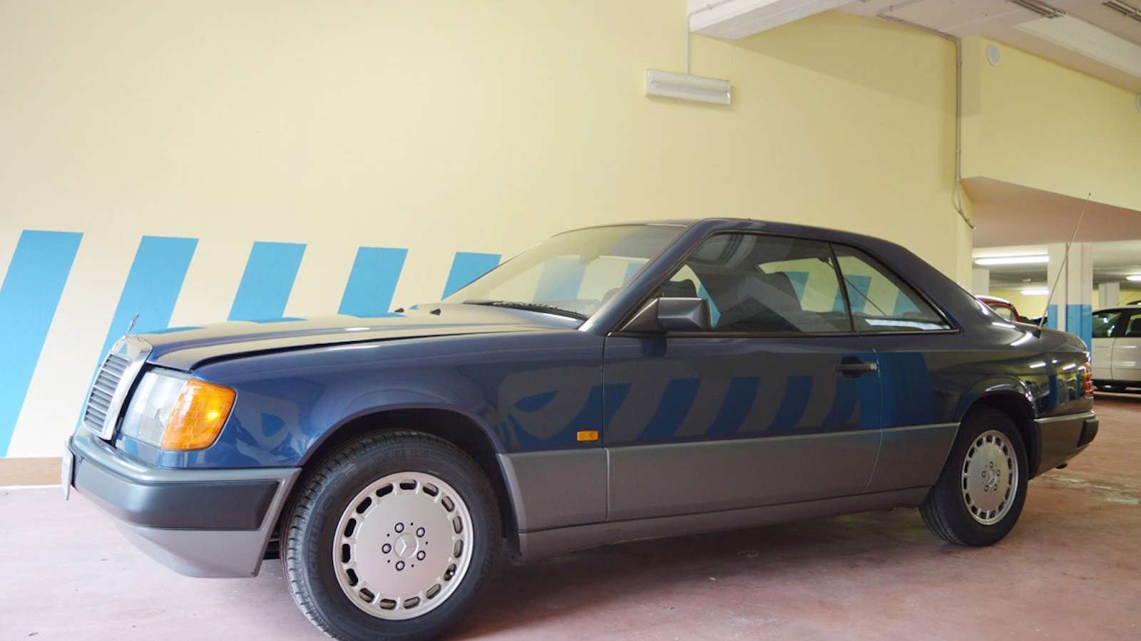 One man’s 200-car collection is up for grabs with no reserve