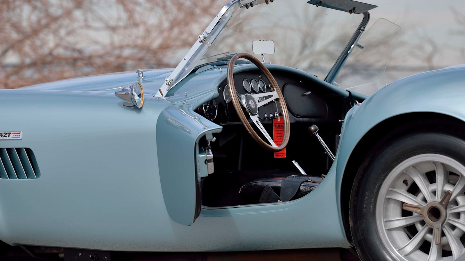 Steven Juliano's $10m Shelby Cobra collection is up for auction