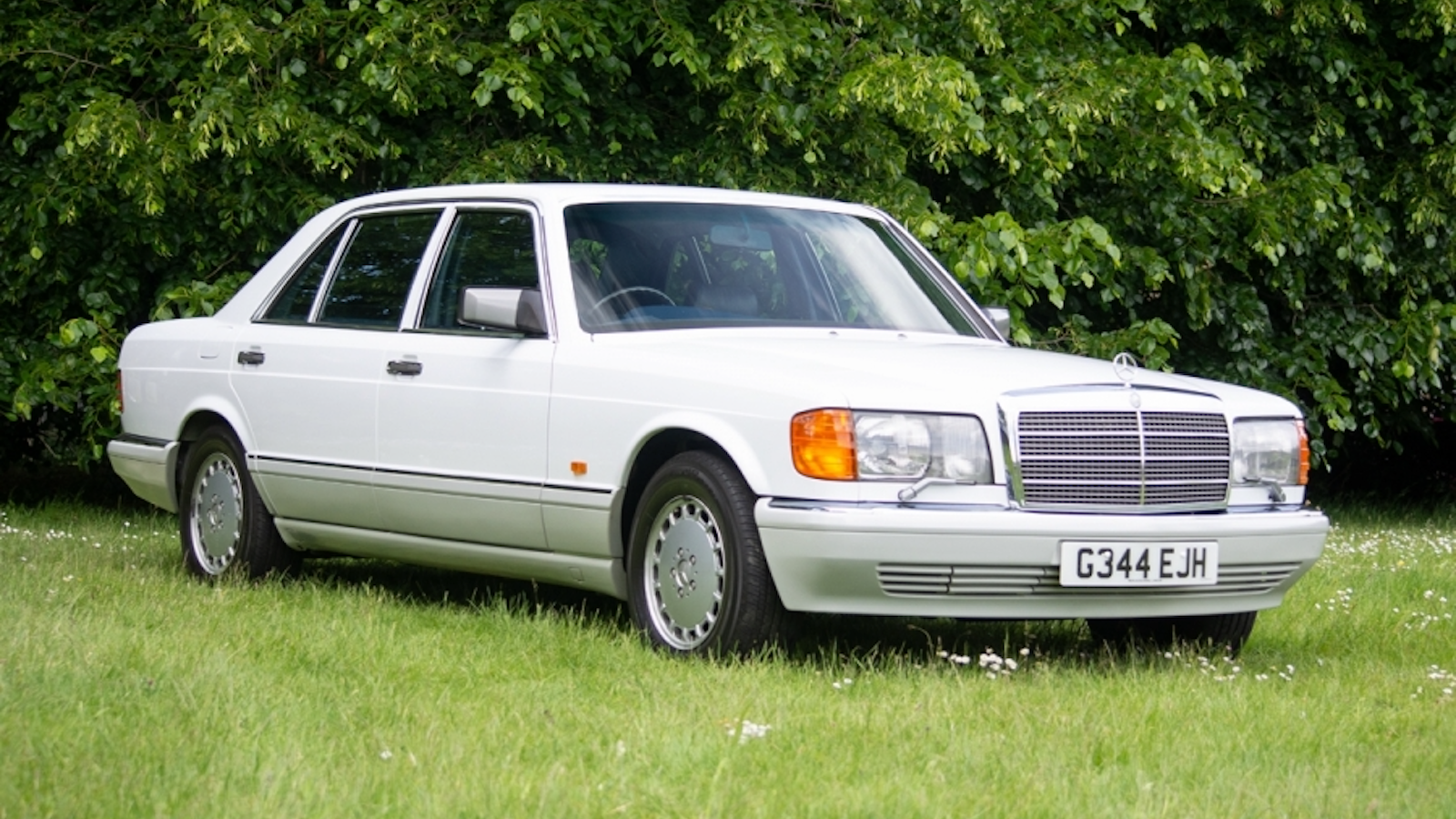 Gentleman's private collection set for Silverstone Classic auction