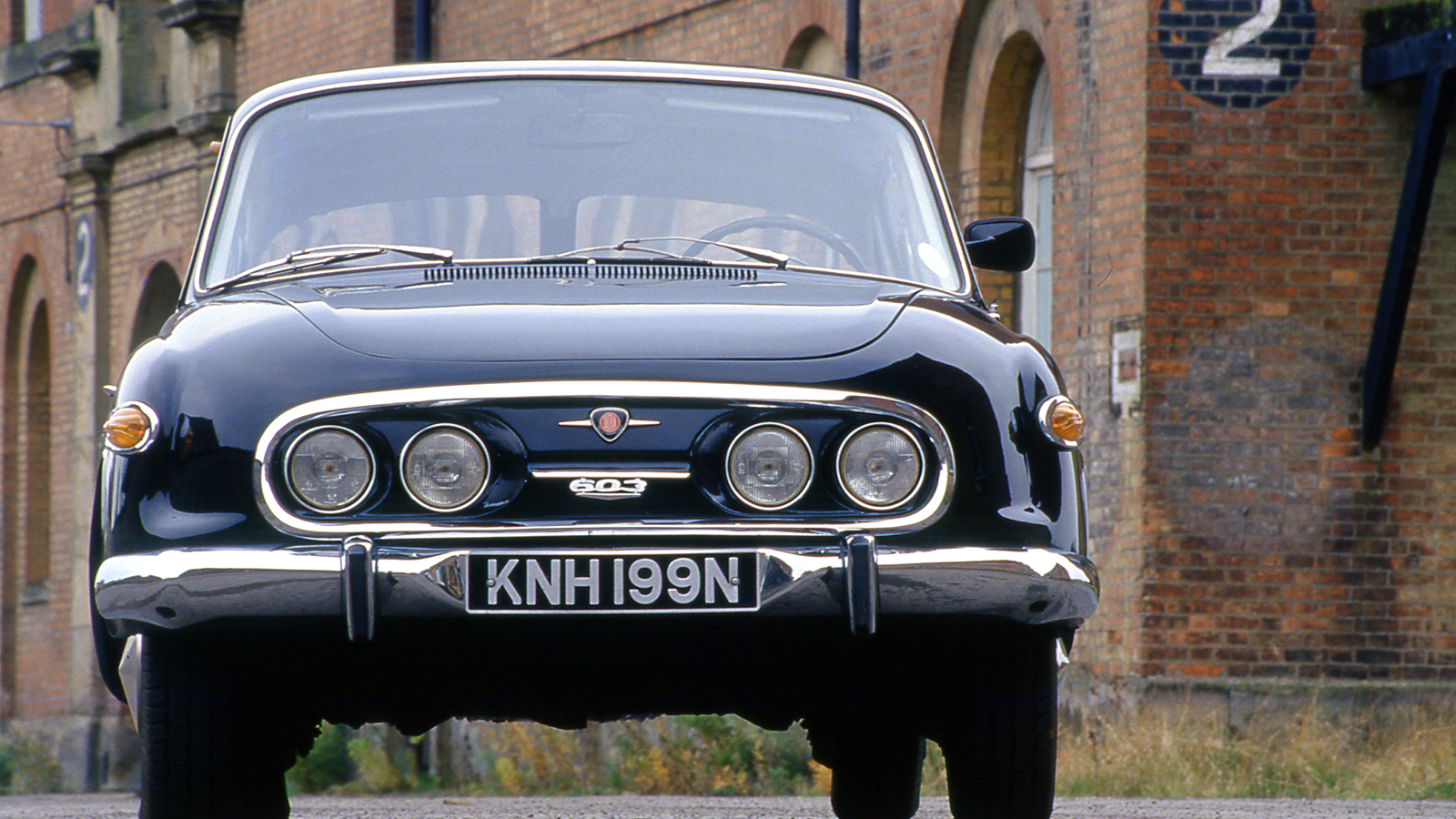 12 European classics that deserve a home in Britain