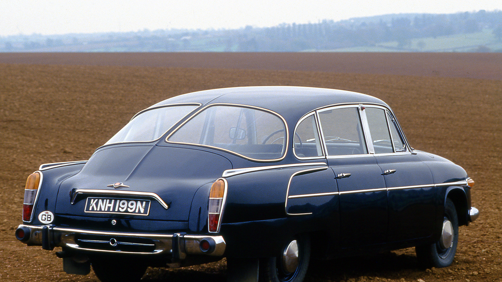 12 European classics that deserve a home in Britain