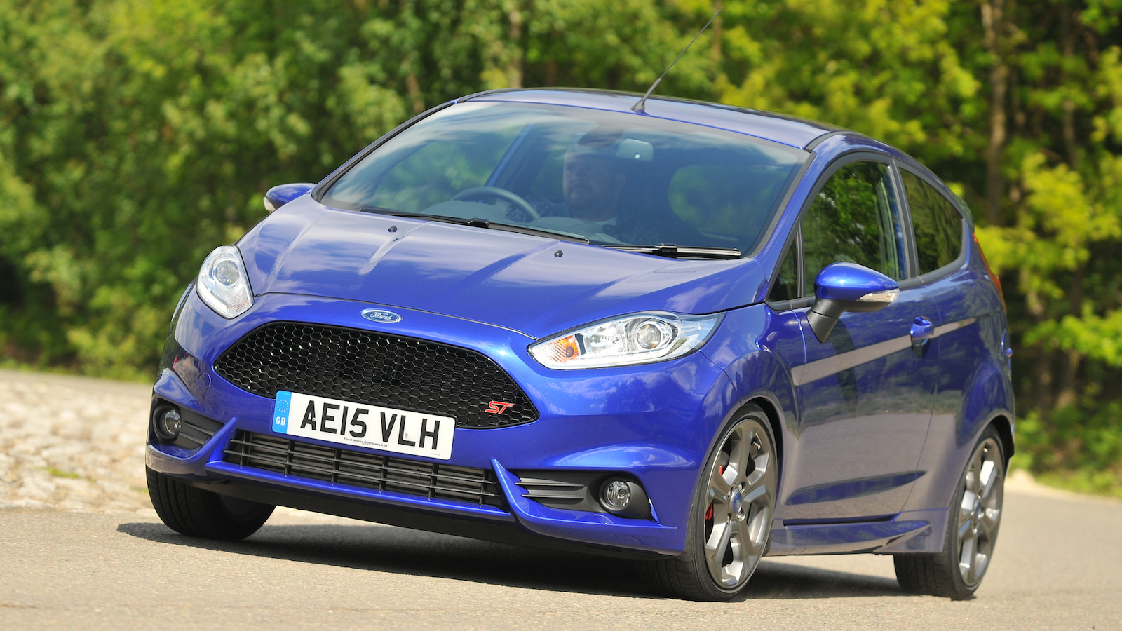 Fast Fiesta gallery