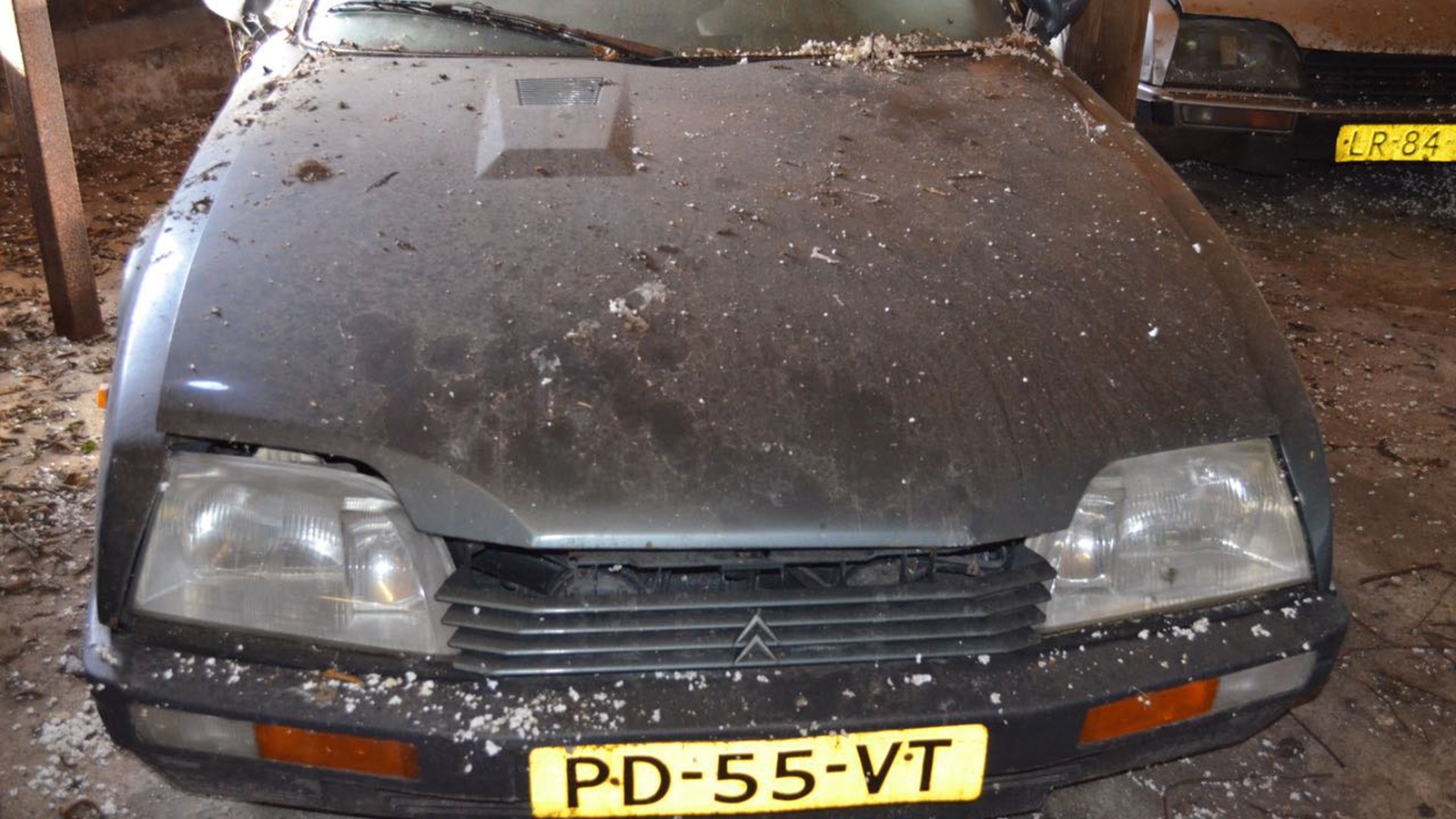 This is what 148 Citroën CXs in a barn looks like