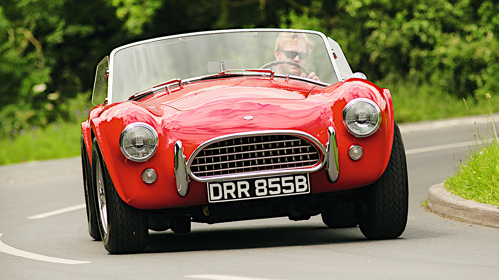 36 cars that share their names with animals | Classic & Sports Car