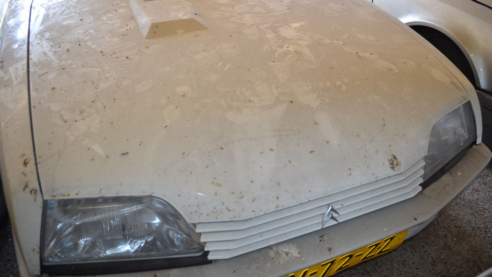 This is what 148 Citroën CXs in a barn looks like